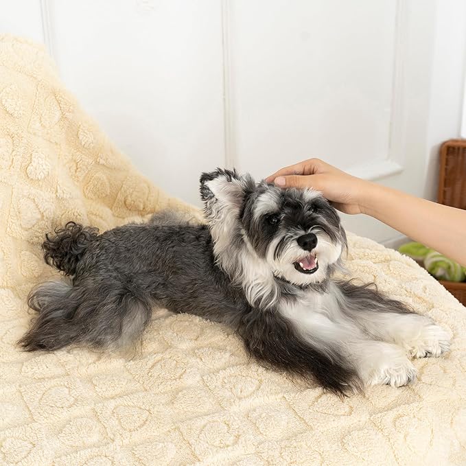 gogobunny Calming Plush Dog Cat Blanket 300GSM Coral Fleece, Ultra-Soft Machine Washable Pet Bedding for Small Medium Dogs Cats Puppies Kittens (Beige, 40x50)