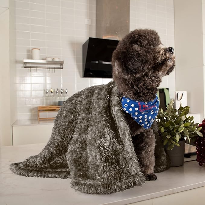 MACEVIA Fluffy Fleece Dog Blankets,Warm Soft Fuzzy Pets Blanket for Puppy,Small,Medium,Large Dogs and Cats,Plush Pet Throws for Bed,Couch,Sofa,Travel(24x29 Inch, Taupe)