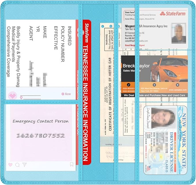 Car Insurance and Registration Holder, 9.5 x 5 Inch PU Leather Vehicle Glove Box Organizer Wallet Case for Insurance Card, Driver License, Paperwork - Mint Green