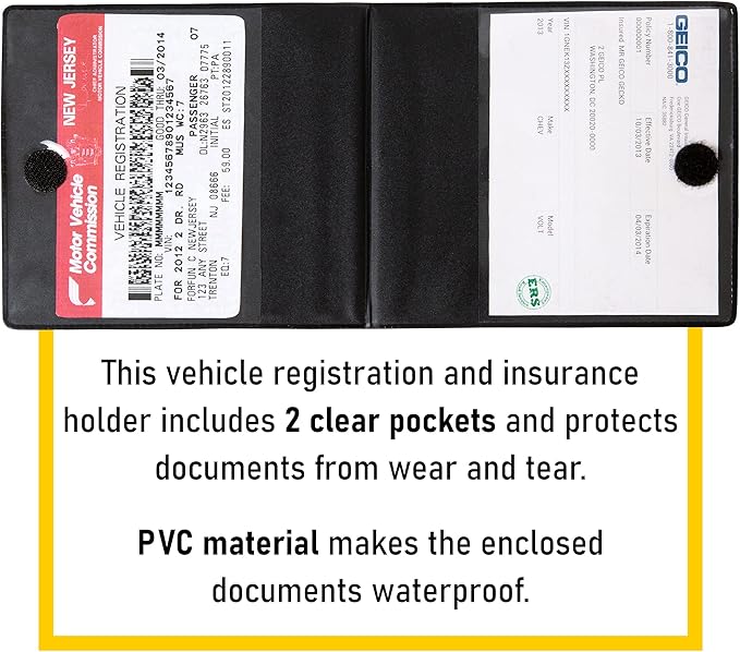 CANOPUS Auto Accessory Document Holder, 2 Pack (Black, PVC, Portable, EZ Pass Compatible)