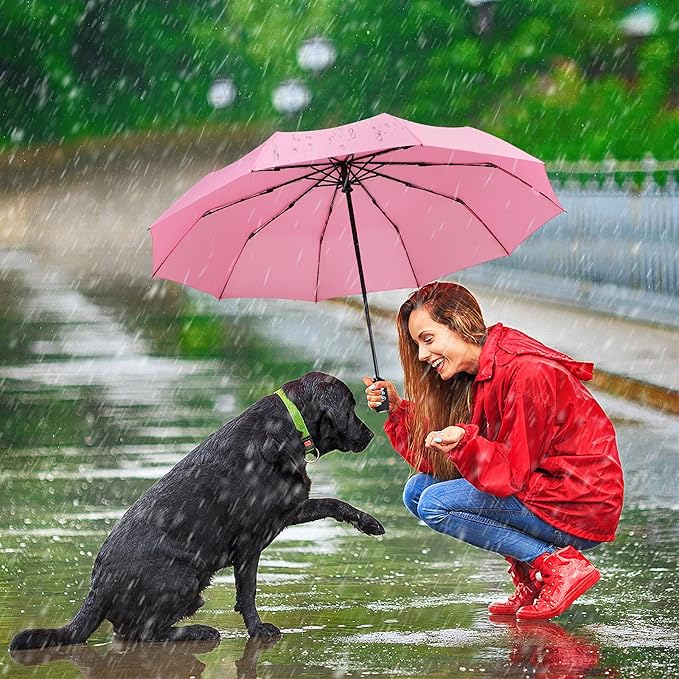 ZOMAKE Travel Umbrella Compact - 10 Ribs Portable Collapsible Umbrellas for Rain Windproof - Paraguas Automatic Small Folding Umbrella Lightweight Packable Umbrella for Women Men