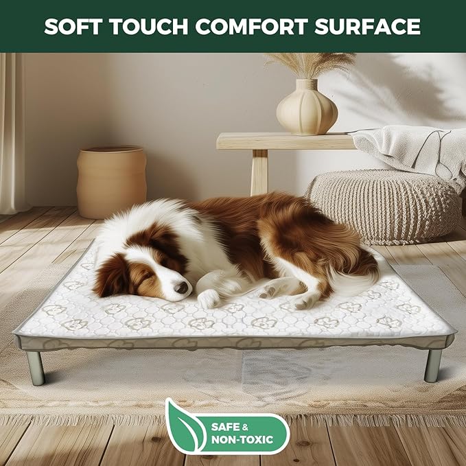 FXW TitanNest Chew-Proof Elevated Dog Bed, Raised Cot for Indoor/Outdoor/Camping Use, Durable & Waterproof Cooling Pet Bed with Exclusive Cover for Small Dogs, 35.0" L x 22.0" W x 4.5" H, Black