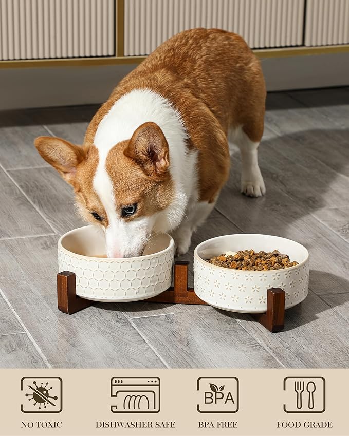 MALACASA Dog Bowl Set with Walnut Wood Stand, 3.5 Cups Ceramic Pet Bowls for Puppy Dogs, Dual Food and Water Bowls with Non-Slip Base, Basic Bowls for Your Dog or Cat, Five-Leaf Grass & Honeycomb