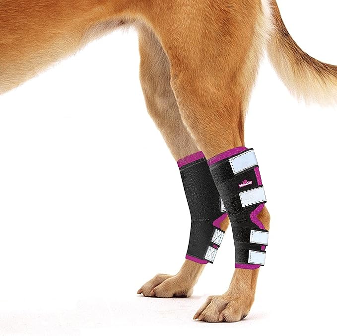 NeoAlly Dog Rear Leg Braces [Long Version] Canine Hind Hock Support with Safety Reflective Straps for Joint Injury, Sprain Protection, Wound Healing and Loss of Stability from Arthritis (Pink L Pair)