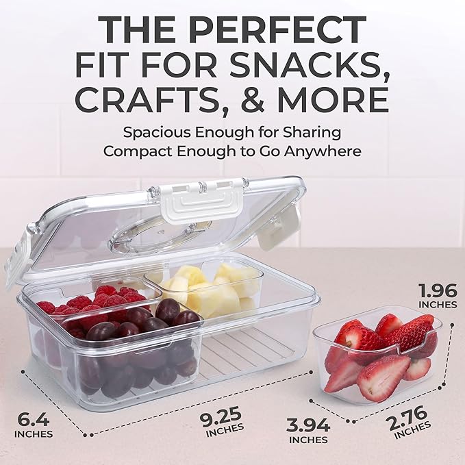Snackle Box Container with Lid- Travel Charcuterie Box with Handle - Organizer for Candy, Fruit, Nuts, Veggies, Snacks, Beach Essentials, Portable Lunch Box (Clear, Small)