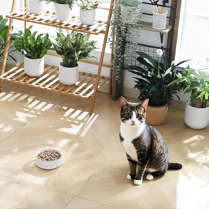 MALACASA Ceramic Dog Food Bowl, 1.5 Cups or 14oz Dog Food Water Dish for Small Breeds, Cats Pet Bowl Dishwasher & Microwave Safe, Honeycomb, Series Lydia