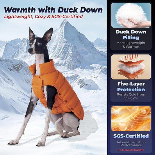 SPACE LION Dog Puffer Jacket, Down Winter Coat, Durable Outdoor Coat for Cold and Windy Conditions, Lightweight & Adjustable Fit Coats for Small Dogs, (Orange, Size 10 Gift Box)