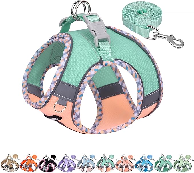 AIITLE Teacup Puppy Harness with Leash - Adjustable Soft Vest with Magic Tape & Reflective Safety Strips, Easy-Put-On for Poodles, Pomeranians - Gym, Hiking, Travel (Turquoise-Pink, S)