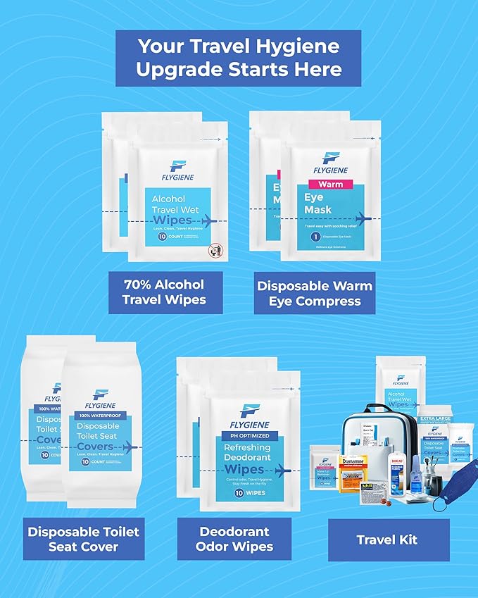 Travel Sanitizing Wipes (20)