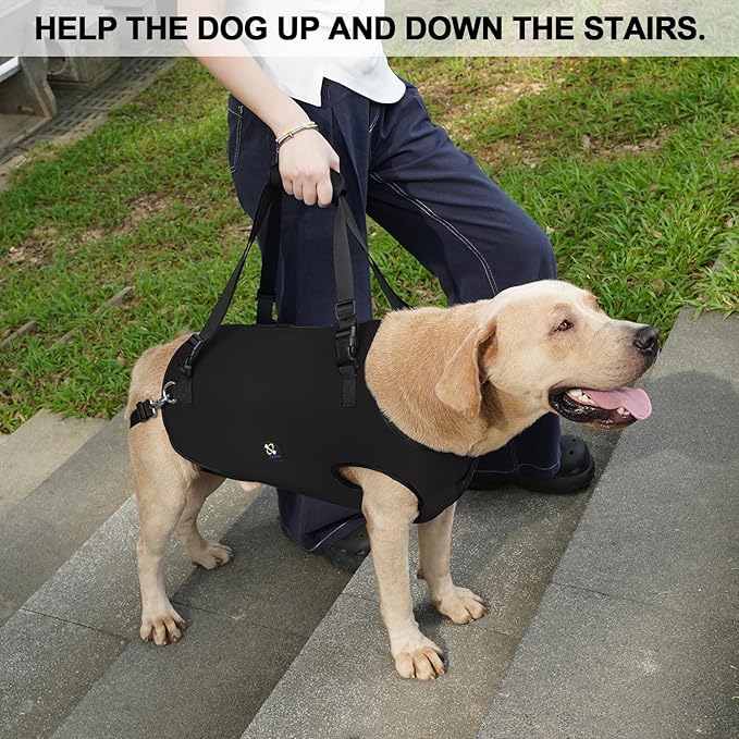 Coodeo Dog Lift Harness, Pet Support & Rehabilitation Sling Lift Adjustable Padded Breathable Straps for Old, Disabled, Joint Injuries, Arthritis, Loss of Stability Dogs Walk (Black, S)