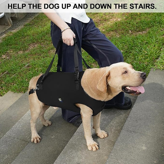 Coodeo Dog Lift Harness, Pet Support & Rehabilitation Sling Lift Adjustable Padded Breathable Straps for Old, Disabled, Joint Injuries, Arthritis, Loss of Stability Dogs Walk (Black, 2XL)