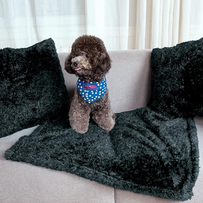 MACEVIA Fluffy Fleece Dog Blankets,Warm Soft Fuzzy Pets Blanket for Puppy,Small,Medium,Large Dogs and Cats,Plush Pet Throws for Bed,Couch,Sofa,Travel (24x29 Inch, Black & Dark Green)