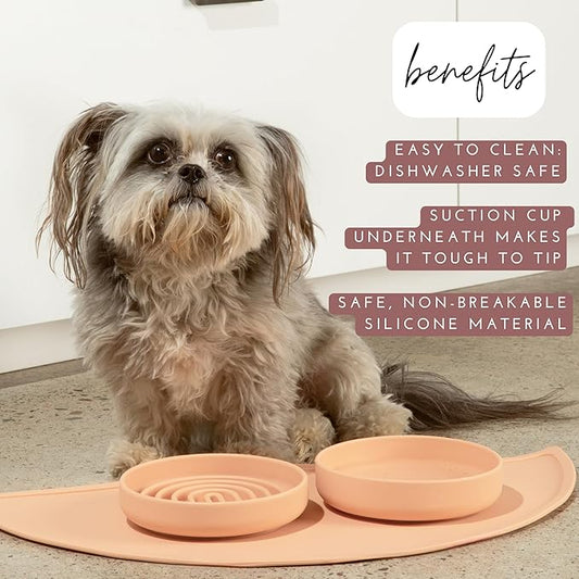 Should We Go? Dog Water Bowl - The Perfect Dish No-Spill, Less Mess Non-Tippable Water & Food Bowl, Pure Silicone with Suction Cup Fits 2 Cups 6” Across x 1.25” Tall Ideal for All Pets, Small-Charcoal