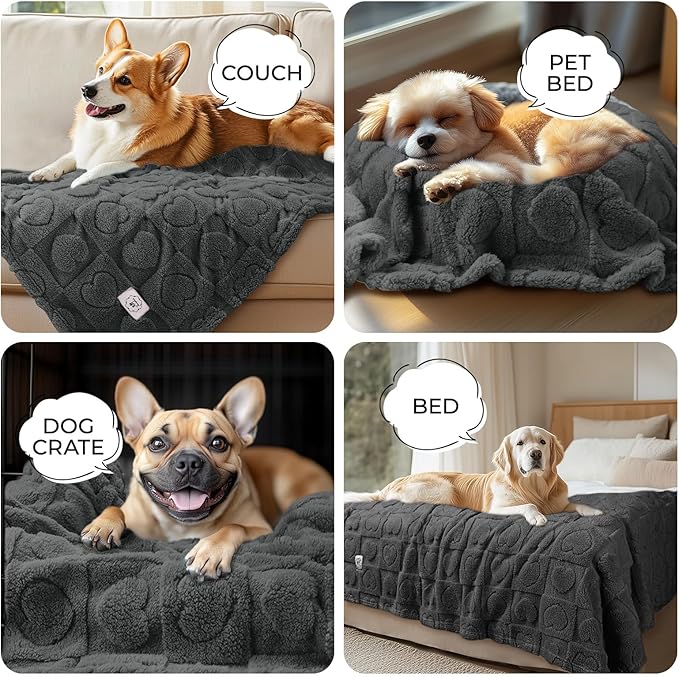 Luciphia Small Dog Blanket Washable Pet Bed Cover Soft Fluffy Puppy Blanket with Premium Fleece 300GSM Cozy Calming Cat Blankets for Indoor Cats Grey 41x31 inch