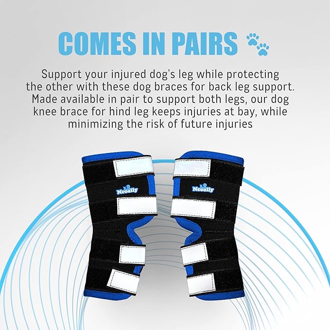 NeoAlly Dog Leg Brace [Long Version] Canine Hind Hock Support with Safety Reflective Straps for Injury and Sprain Protection, Wound Healing and Loss of Stability from Arthritis (Blue XS Pair)