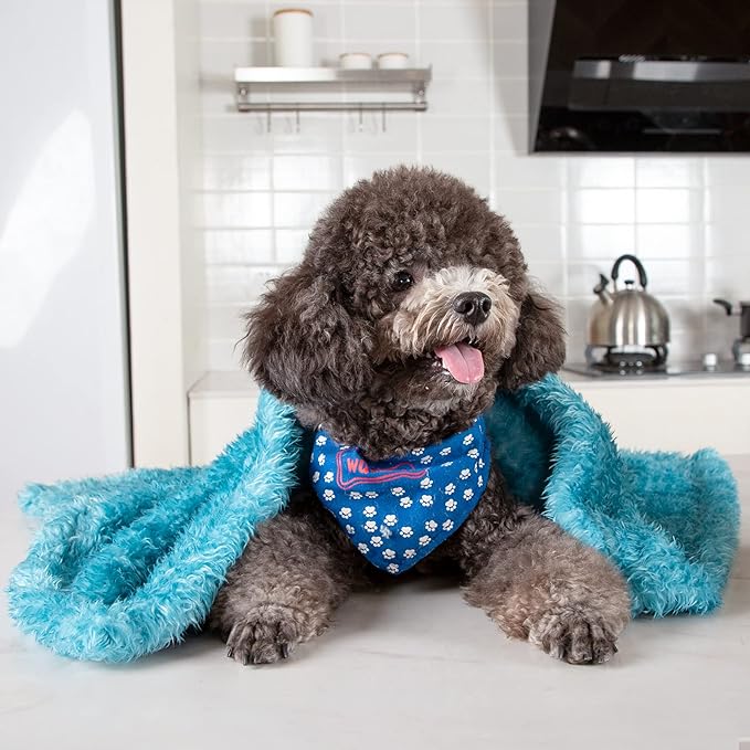 MACEVIA Fluffy Fleece Dog Blankets,Warm Soft Fuzzy Pets Blanket for Puppy,Small,Medium,Large Dogs and Cats,Plush Pet Throws for Bed,Couch,Sofa,Travel(24x29 Inch, Sea Blue)