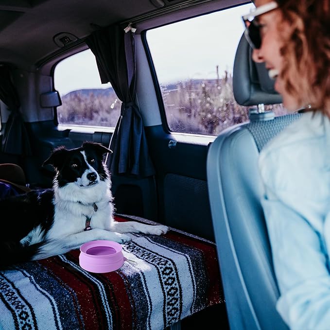 SLSON Spill Proof Dog Water Bowl for Cars,Collapsible No Splash Dog Travel Bowls Integrated Molding Portable Pet Bowl for Road Trip Truck,RV,SUV,Boat Accessories (Purple)