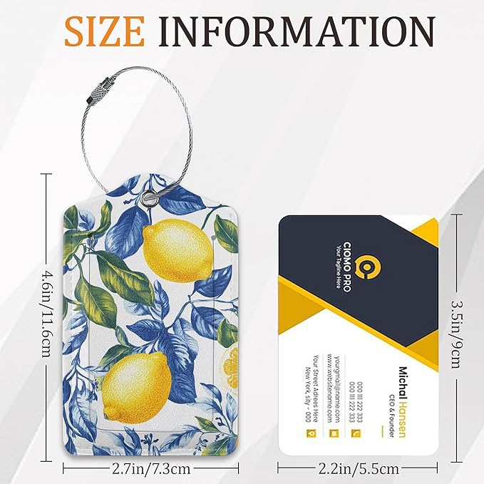 Cute Fruit Luggage Tags for Suitcases, 3 Pack Leather Bag Tag Identifiers with Stainless Steel Loop and Address Card for Men Women