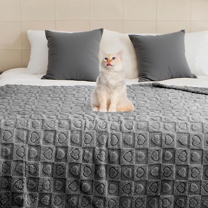 gogobunny Cozy Fleece Throw Blanket for Couch, 50x60 Inch Large Soft Blanket for Adults & Pets, 2-in-1 Machine Washable Lightweight Blanket for Bed, Travel, All Season Comfort (Anthracite, 50x60)