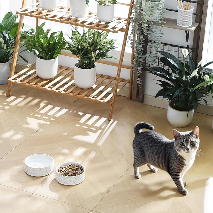 MALACASA Ceramic Dog Food Bowl, 1.5 Cups or 14oz Dog Food Water Dish for Small Breeds, Cats Pet Bowl Dishwasher & Microwave Safe, Five-Leaf Grass, Series Lydia