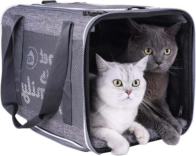 You've got This Cat Carrier with Privacy Flaps for Nervous Fur-Kids. Top-Load Quick-in. 360° Airy Mesh Windows Let Cats See You & Reduce Travel Anxiety. Rip-Stop Fabric & Lockable Zips Hug Securely