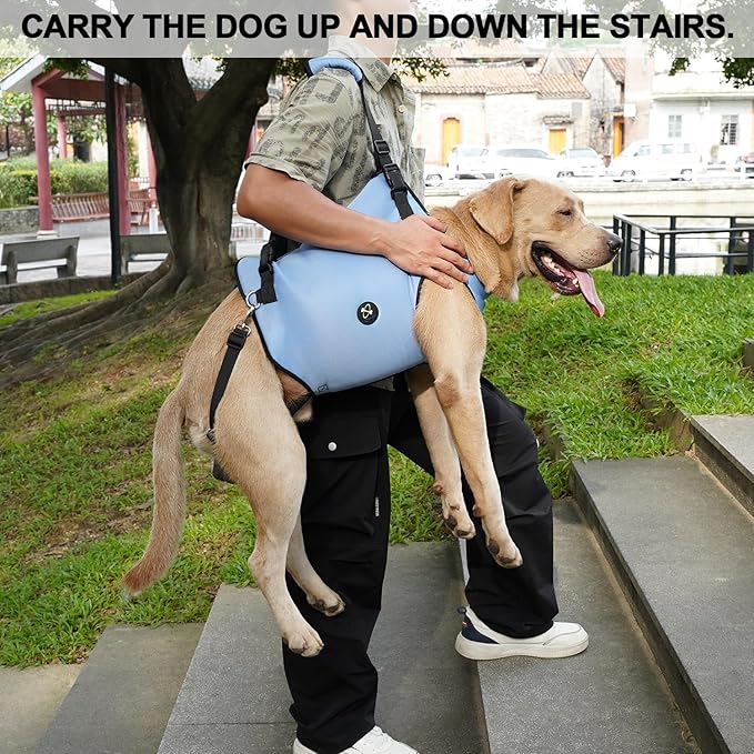 Coodeo Dog Lift Harness, Pet Support & Rehabilitation Sling Lift Adjustable Padded Breathable Straps for Old, Disabled, Joint Injuries, Arthritis, Loss of Stability Dogs Walk (Blue, XS)