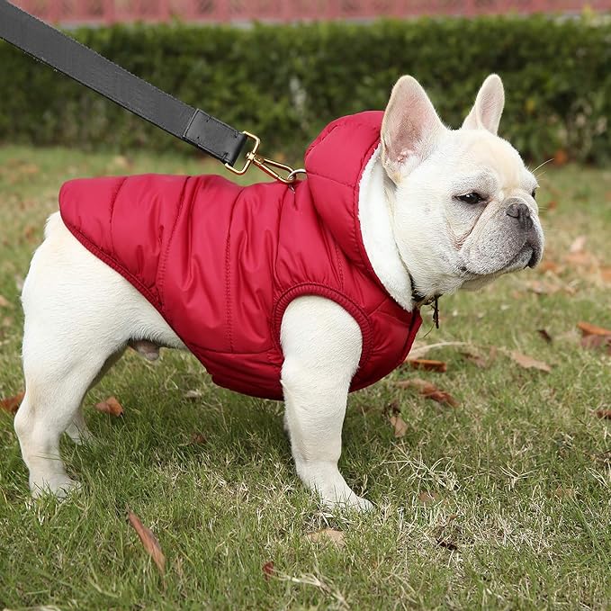 Windproof Waterproof Dog Coat Fleece & Cotton Lined Warm Jacket, Cold Weather Pet Apparel Clothes Vest for Small Medium Large Dog (L, Red)