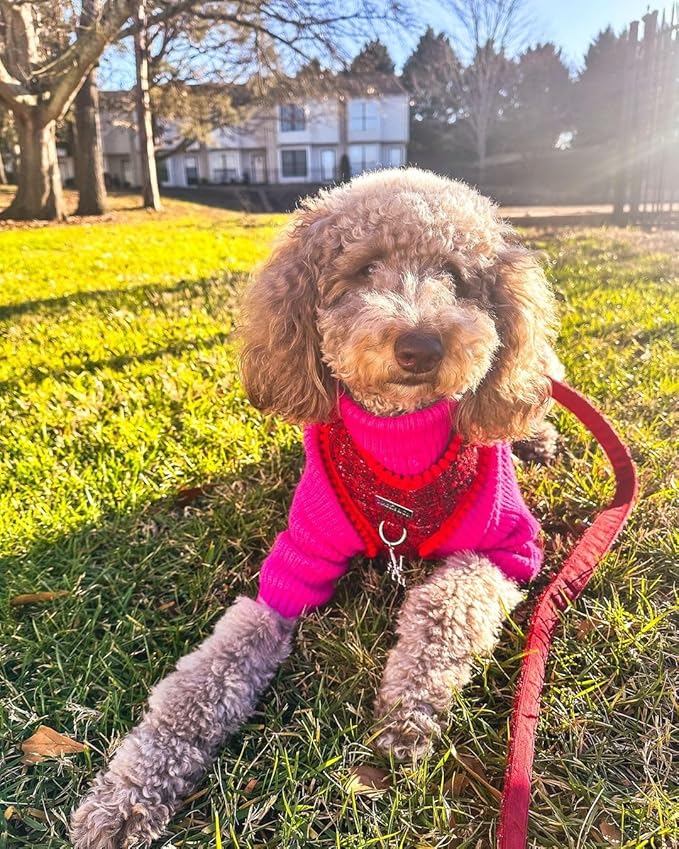 Fitwarm Valentines Dog Turtleneck Sweater, Dog Winter Clothes for Small Dogs Girl, Knitted Pet Coat, Cat Outfit, Hot Pink, XXL