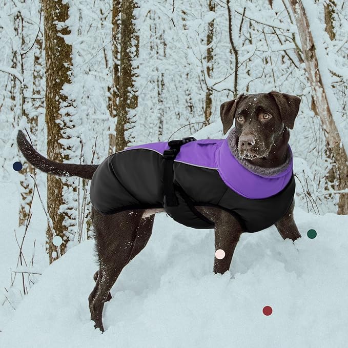 IECOii Extra Warm & Reflective Dog Jacket - Fleece Turtleneck Winter Coat - Adjustable Buckles - Small to Extra Large - Perfect for Cold Weather