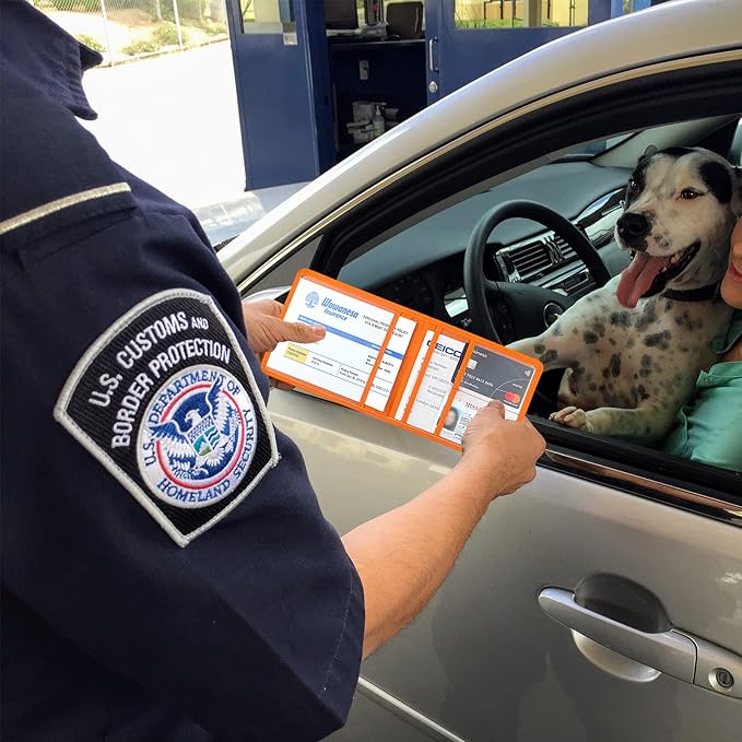 Car Registration and Insurance Holder, Leather Registration and Insurance Card Holder, Vehicle Glove Box Organizer - For Documents, Cards, License (Orange)