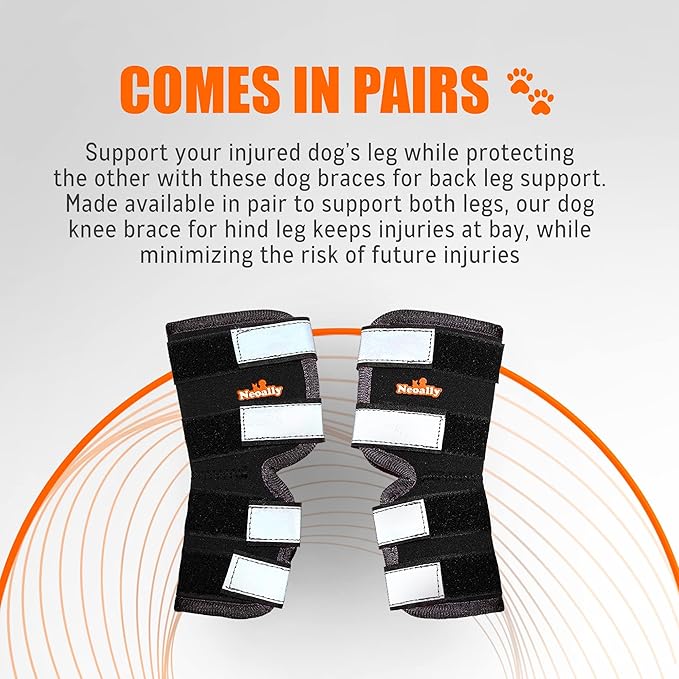 NeoAlly® - Rear Leg Hock Brace, Dog Leg Brace for Rear Leg, Hock & Ankle Support for Hind Legs, Dog Brace for Torn Acl and Ccl, Long Version, X-Small, 1 Pair