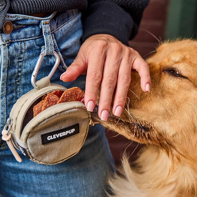 Nomad Large Collapsible Dog Bowl in Sand & Snackpack Double Insulated Treat Pouch in Sand