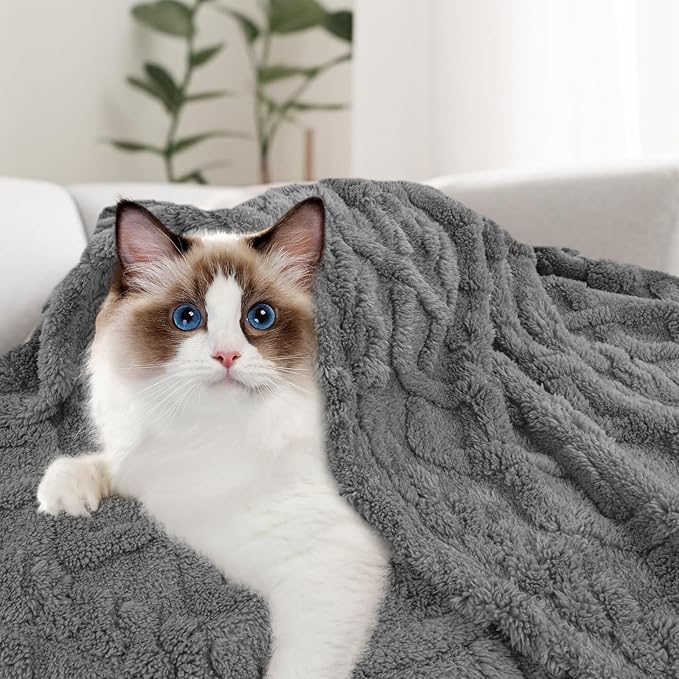 MACEVIA Fluffy Fleece Dog Blankets, Warm Soft Fuzzy Pets Blanket for Puppy, Small, Medium, Large Dogs and Cats, Plush Pet Throws for Bed, Couch, Sofa, Travel (24x29 Inch,Charcoal Gray)