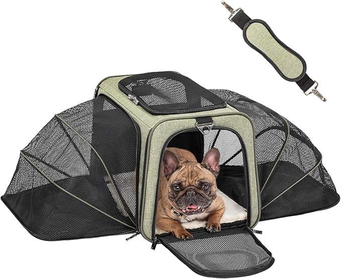 Petsfit Expandable Cat Carrier Dog Carrier, Soft-Sided Portable Pet Travel Carrier, Removable Soft Plush mat and Pockets, Locking Safety Zippers, 19x12x12 Inches
