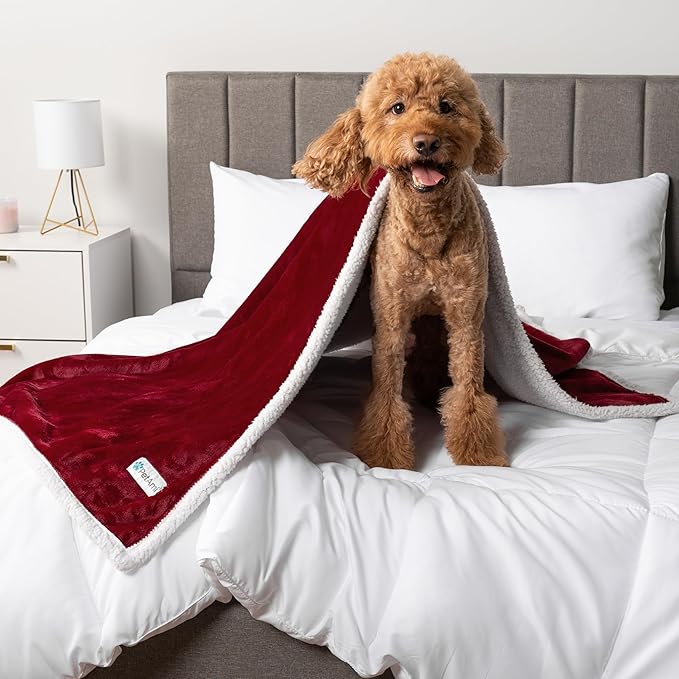PetAmi Waterproof Dog Blanket for Small Medium Dog Puppy Cat Throw for Couch Cover Leakproof Protection, Sherpa Fleece, Reversible Soft Washable 29x40 Wine Red
