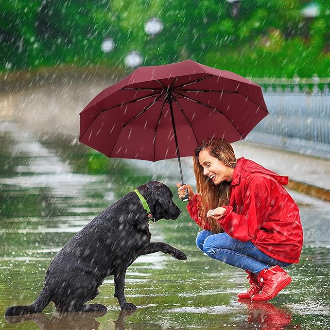 ZOMAKE Travel Umbrella Compact - 10 Ribs Portable Collapsible Umbrellas for Rain Windproof - Paraguas Automatic Small Folding Umbrella Lightweight Packable Umbrella for Women Men