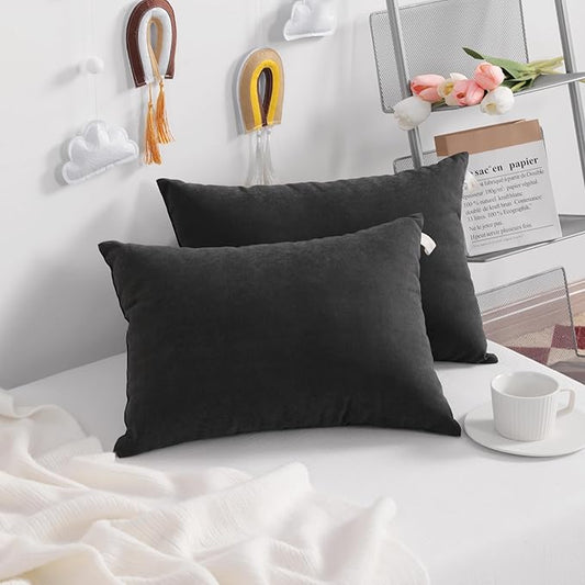 NTBAY Toddler Pillows, Down Alternative 13"x18" Pillow, Machine Washable - Soft and Breathable Travel Small Pillows for Sleeping, Ideal for Daycare, Crib, Cot, Black