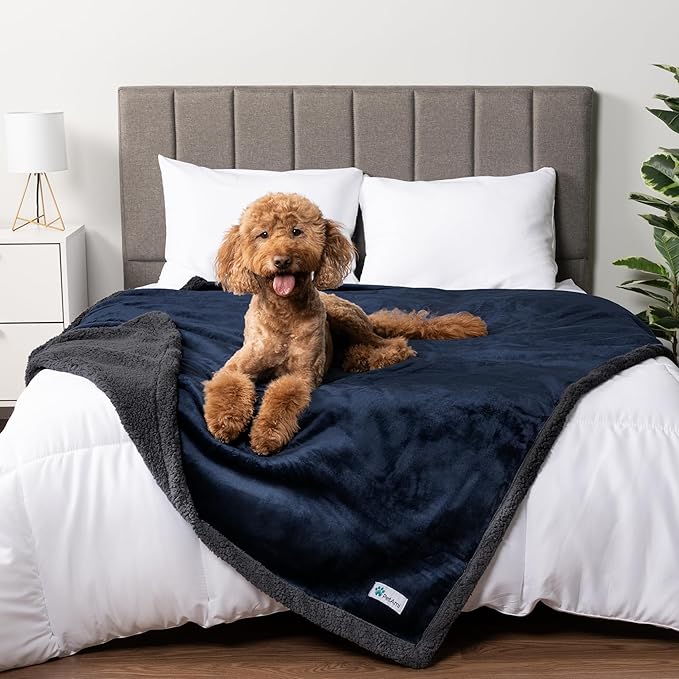 PetAmi Waterproof Dog Blanket for Medium Large XL Dog Puppy Cat Throw for Couch Cover Leakproof Protection, Sherpa Fleece, Reversible Soft Washable 80x60 Navy Gray