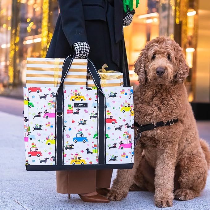 SCOUT Original Deano Tote Large - Durable Lightweight Open Top Beach, Pool & Lake Bag, Inside Zip Pocket, Folds Flat