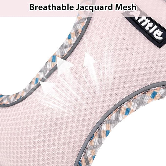 AIITLE Tiny Dog Harness - Lightweight Mesh Step-in Vest for Puppy, Reflective & Escape-Proof Design with High-Stick Magic Tape - Indoor/Outdoor Use for Chihuahua, Maltese, Shih Tzu(Blue-Pink, XXXS)