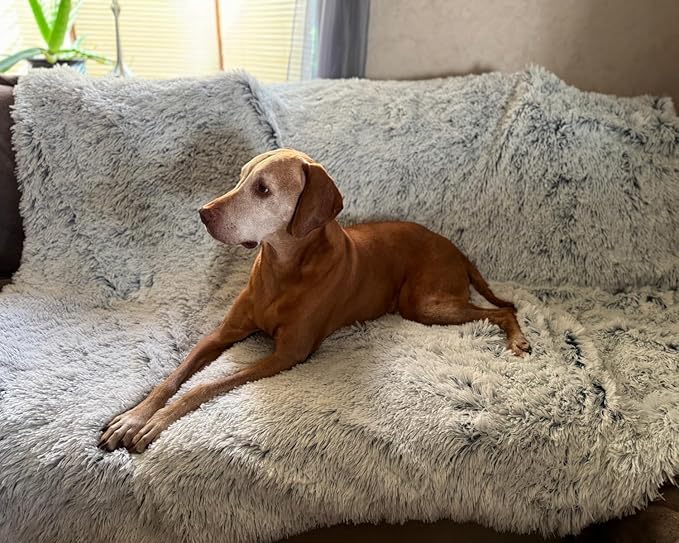 PJYuCien Large Dog Blanket, 80" x 60" Reversible Fleece Sherpa Blankets, Soft Plush Pet Throw for XL Dogs, Washable Cozy Furniture Protector for Couch/Bed, Grey