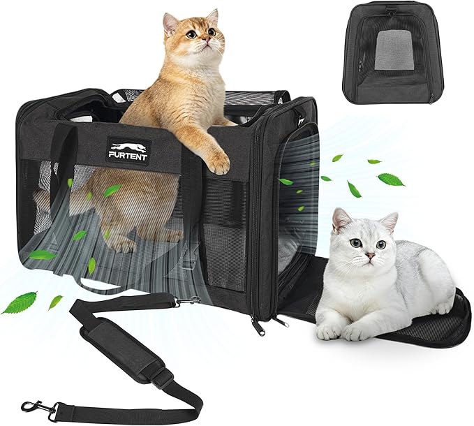 Soft-Sided Large Cat Carrier for 2 Cats, Spacious Foldable Pet Travel Carrier for Large Cats up to 25 Lbs, Double Cat Bag with Shoulder Strap, 20x13x13 Inch, Fits Maine Coon and Small Dogs, Black