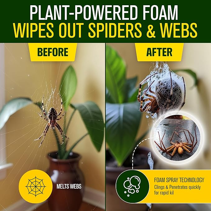 Green Guard Pest Control Spray - Indoor & Outdoor Killer of Ants, Roaches, Spiders & Other Crawling Insects, Safe Around Children & Pets, Plant-Based, Pleasant Scent (Cinnamon Might, 32oz)