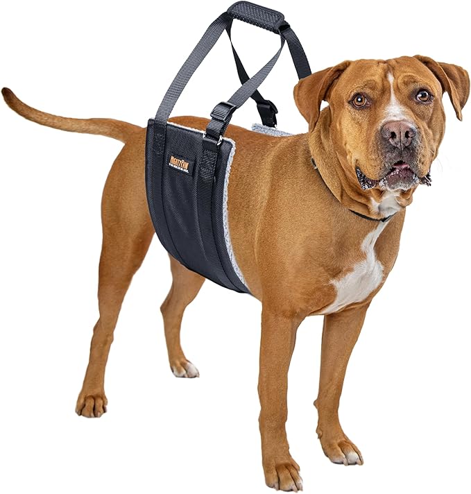 Mighty Paw Dog Lift Harness - 0-20 lbs Dog Hip and Hind Leg Support Sling - Comfortable Assistance for Elderly or Injured Pets with Hip and ACL Brace - Back Support Harness Carrying Sling - Small