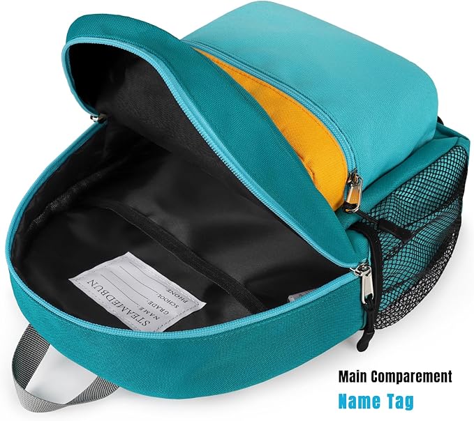 STEAMEDBUN Toddler Backpack for Boys 2-4,Kindergarten Backpack for Boys,Preschool Backpack,Mini