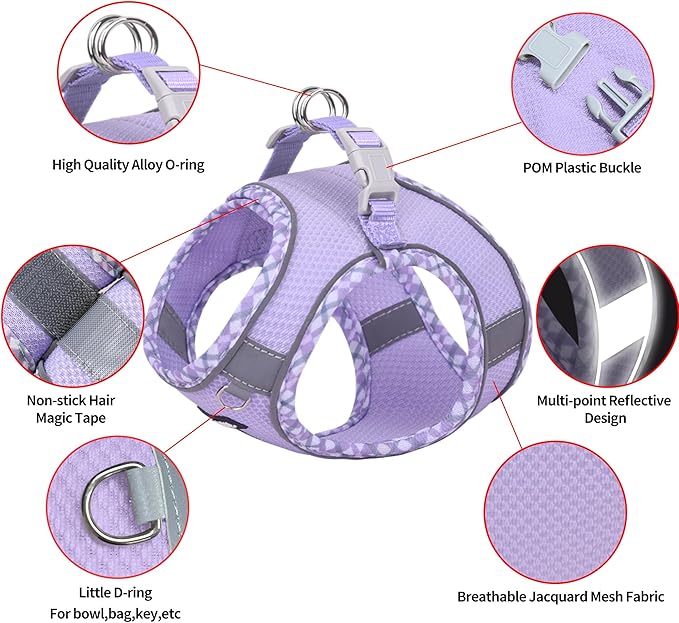 AIITLE Dog Harness and Leash Set - Ultra-Comfortable XXS-XL Vest with Strong Magic Tape & Glow-in-Dark Reflective Strips, Chafe-Free for Teddy, Schnauzer (Purple, M)