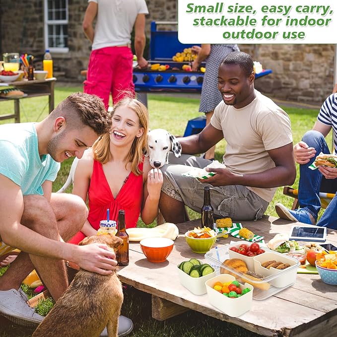 4 Compartment Snack Box Container Tray, Divided Serving Tray with Lid, Mini Small Snackle Box, Portable Charcuterie Container for Party, Picnic, Travel, Food Platter for Snack, Fruits, Veggies