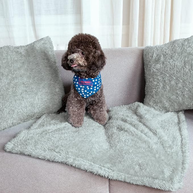 MACEVIA Fluffy Fleece Dog Blankets,Warm Soft Fuzzy Pets Blanket for Puppy,Small,Medium,Large Dogs and Cats,Plush Pet Throws for Bed,Couch,Sofa,Travel(24x29 Inch, Light Gray)
