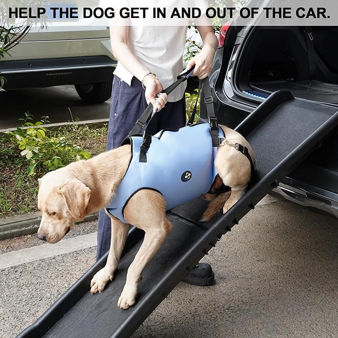 Coodeo Dog Lift Harness, Pet Support & Rehabilitation Sling Lift Adjustable Padded Breathable Straps for Old, Disabled, Joint Injuries, Arthritis, Loss of Stability Dogs Walk (Blue, M)