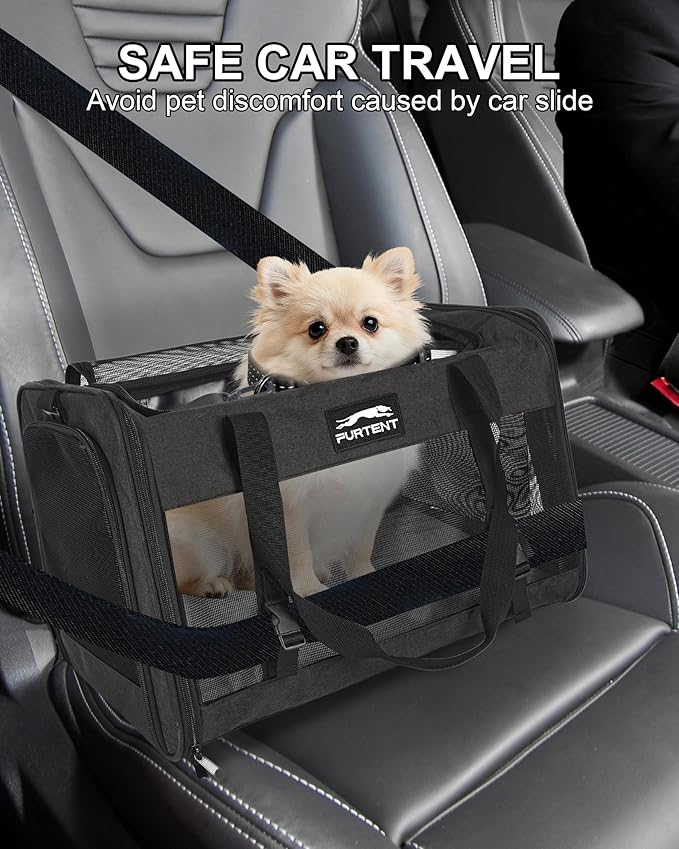 Soft-Sided Large Cat Carrier for 2 Cats, Spacious Foldable Pet Travel Carrier for Large Cats up to 25 Lbs, Double Cat Bag with Shoulder Strap, 20x13x13 Inch, Fits Maine Coon and Small Dogs, Black